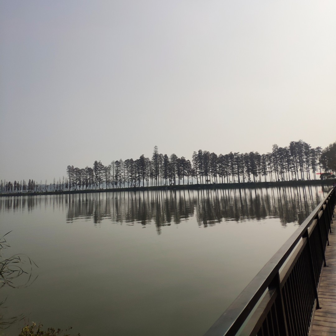 云头也开始躲猫猫