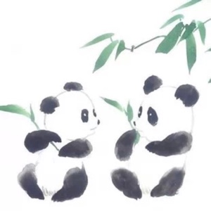 Panda猫勒个咪