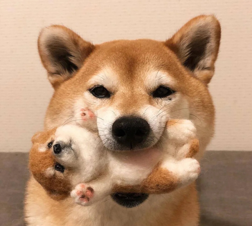 买我闲置的都会发大财