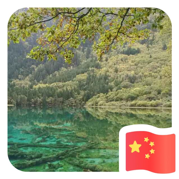 爱吃蒜香法棍的大海