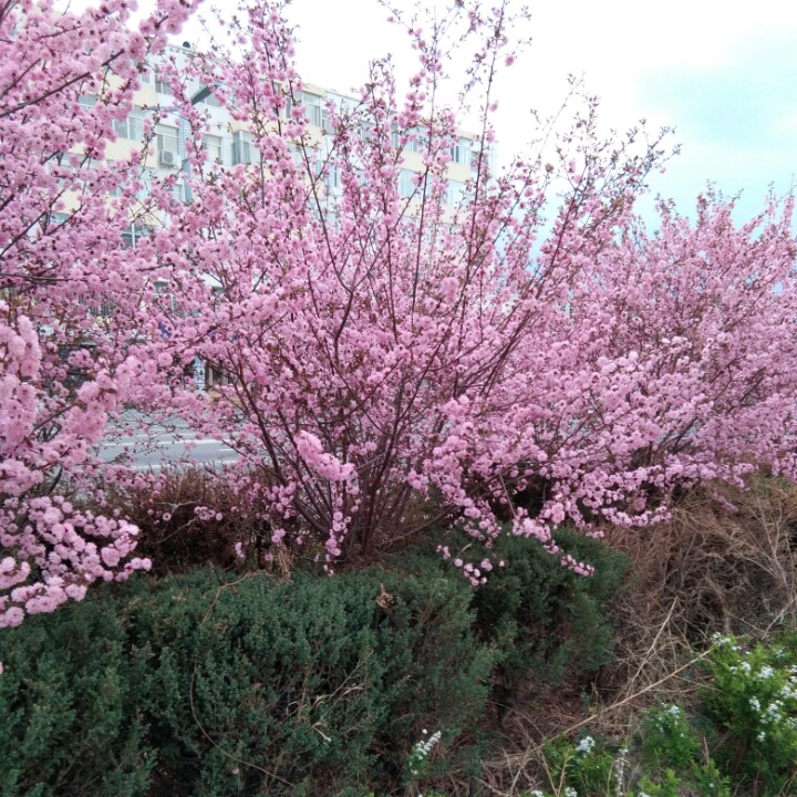 青春一去不复返33