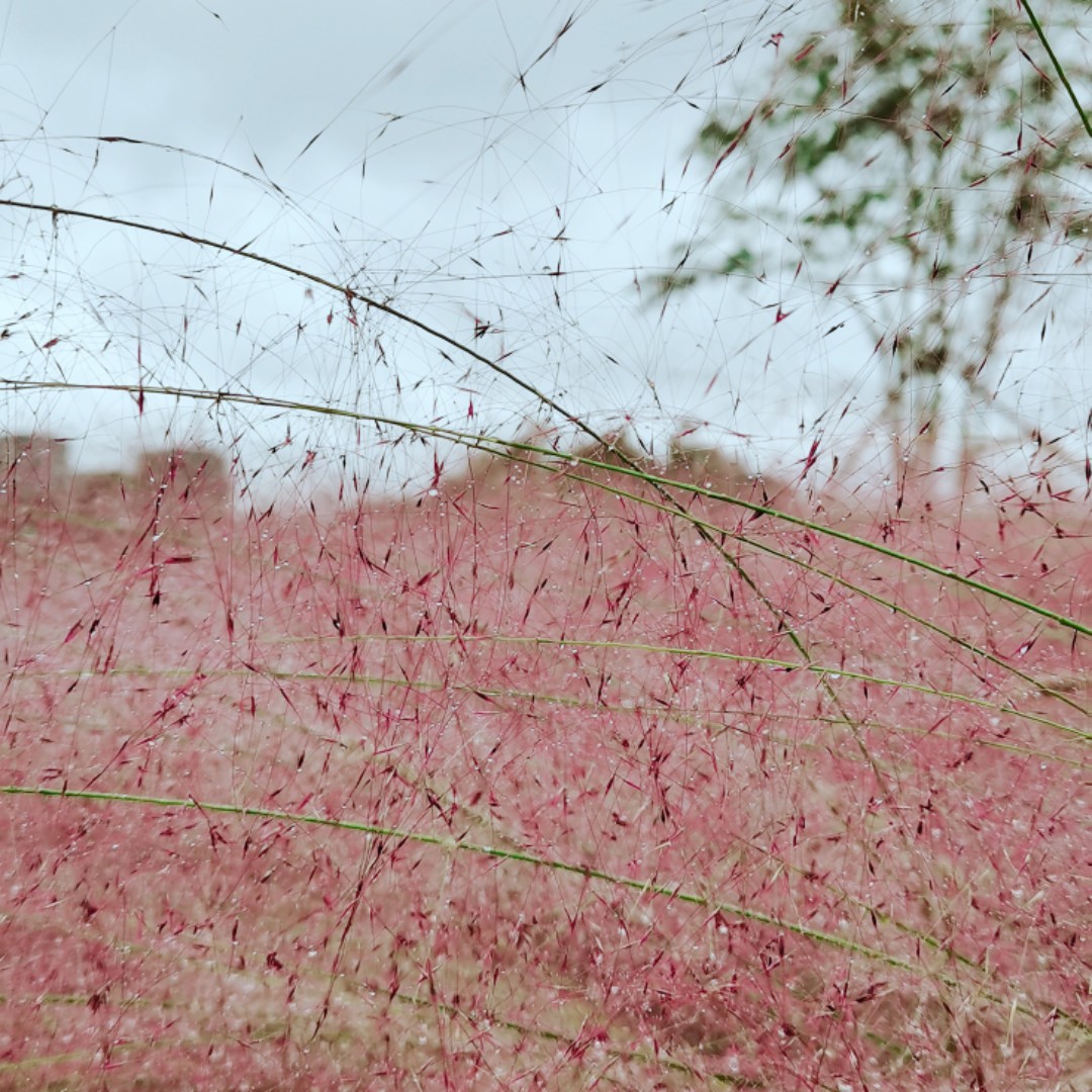 您的快递掉沟里了