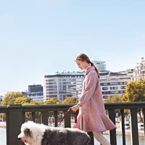 核桃下的葡萄干