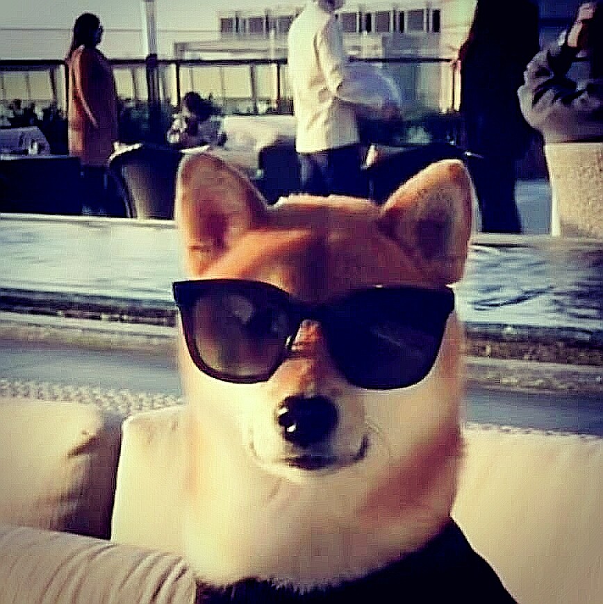 一个爱上阿珍的延边老棒子