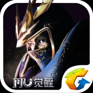 飞在天上的猪头