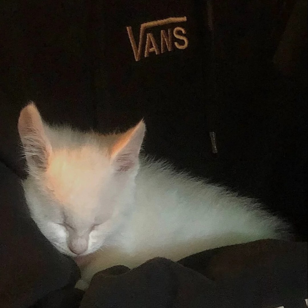 明天也想见到你