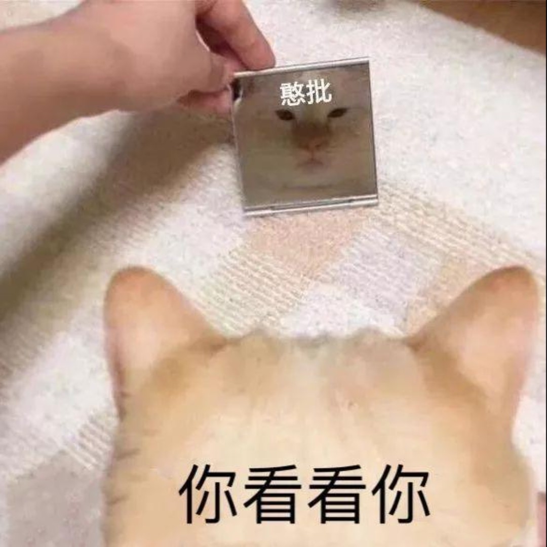 宁今天赤猪头肉了么
