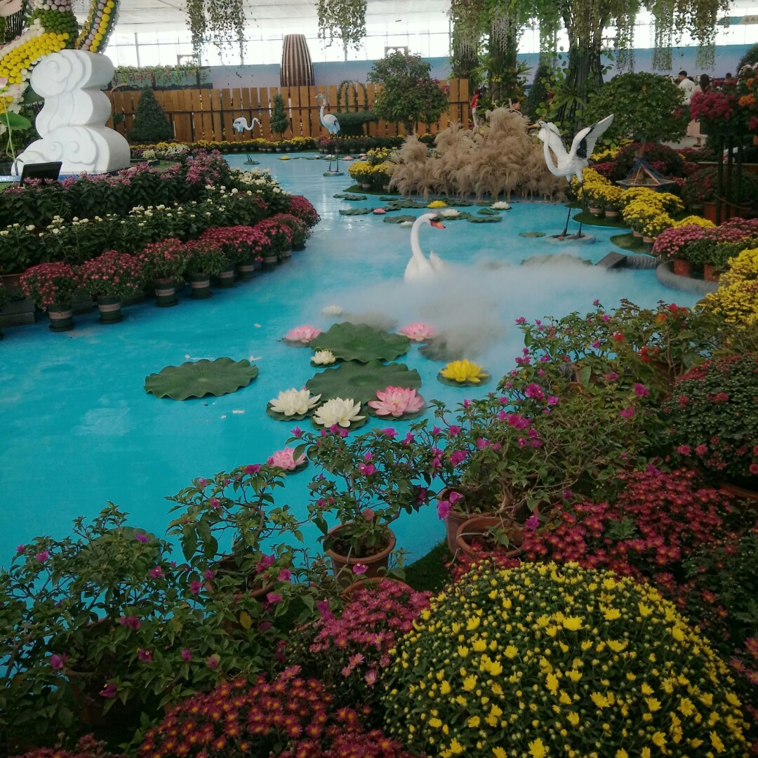 向阳花木易为春否