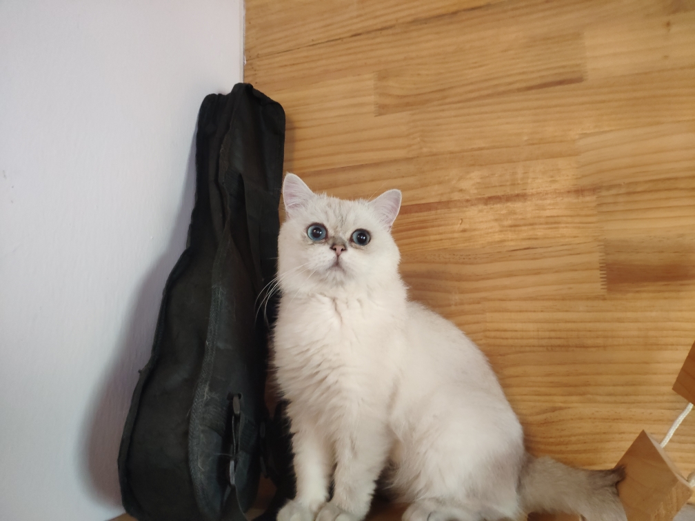 怎么怎么这么麻烦啊