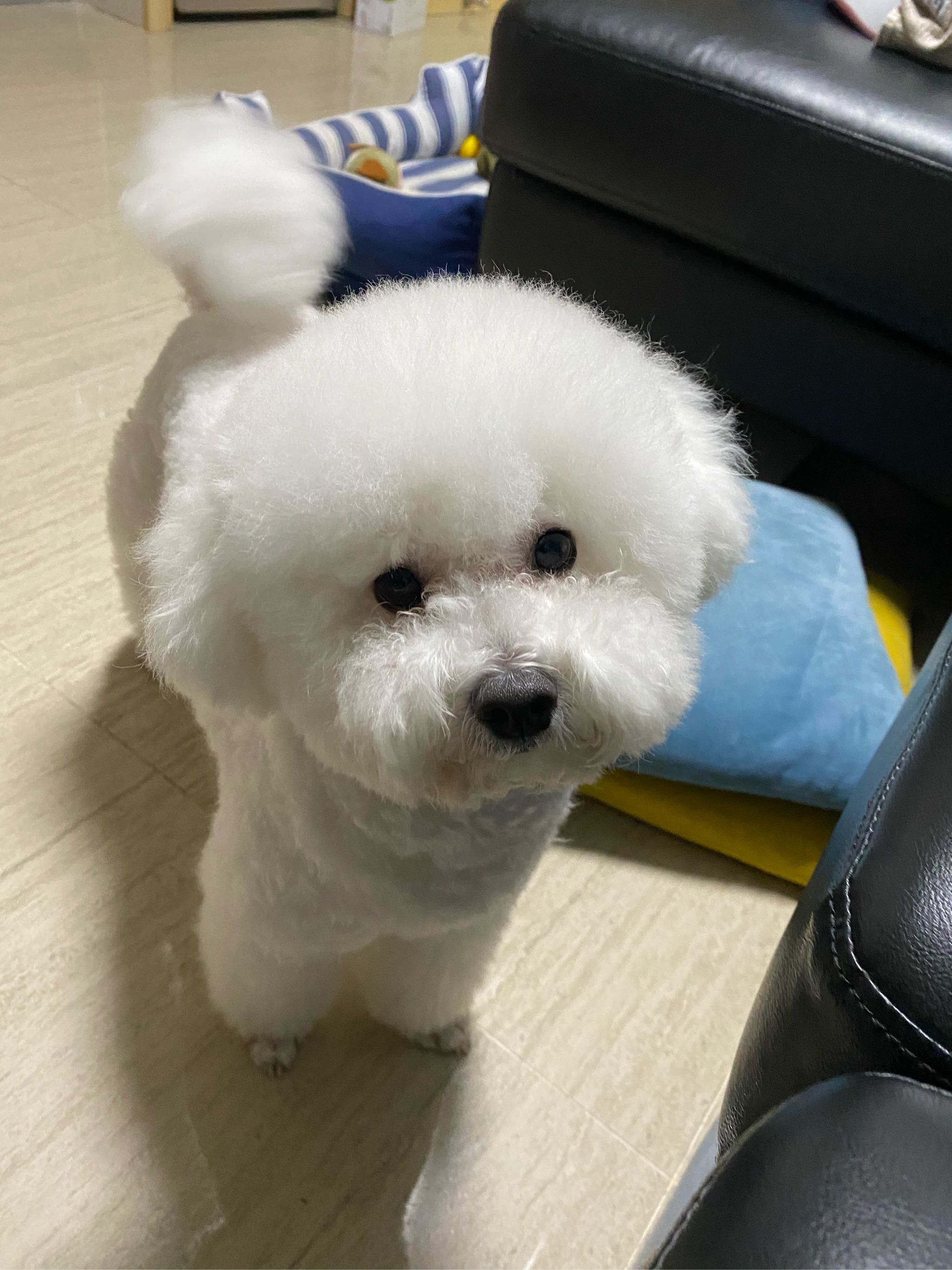 只喝咖啡不吃饭