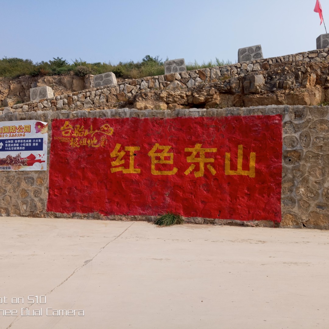 年年有余。花开富贵