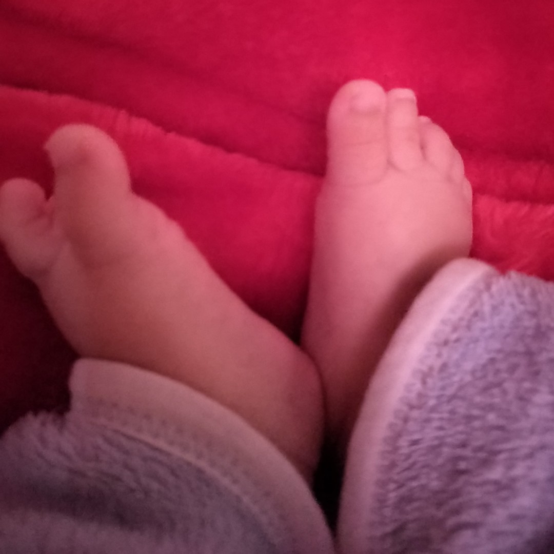 爱吃冰糖黄瓜的酸奶