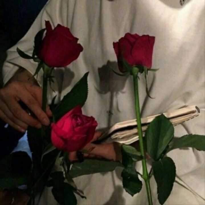 冬天的倾城不起