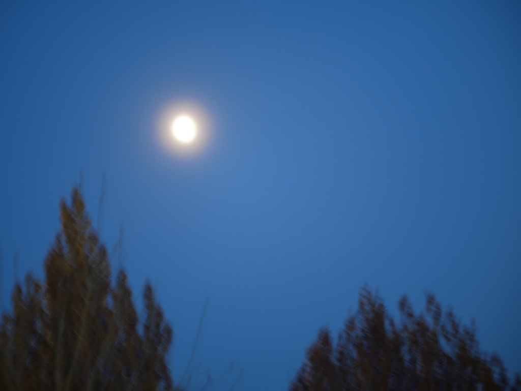 咿呀咿呀哟一样