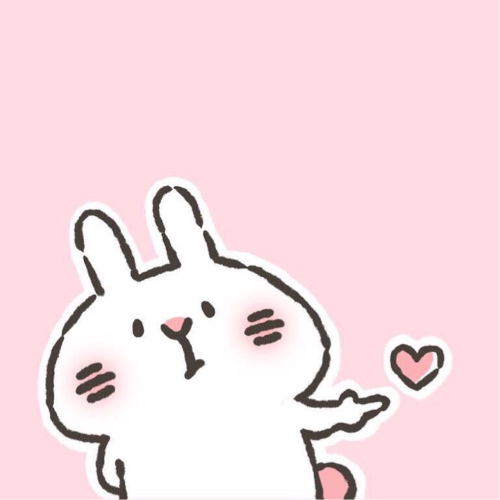 市中区安吉拉宝