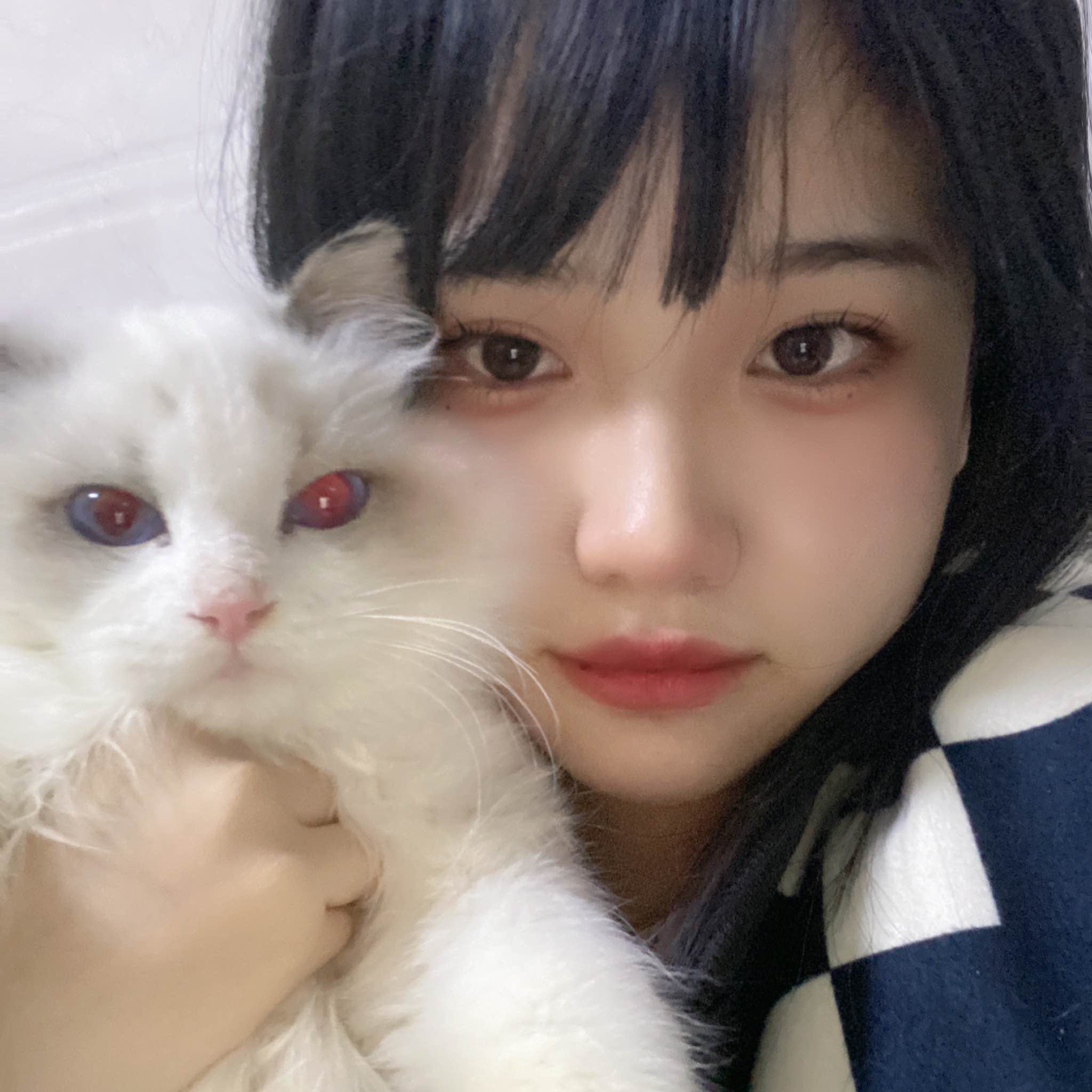 王侯将相清扬道长爱小棍