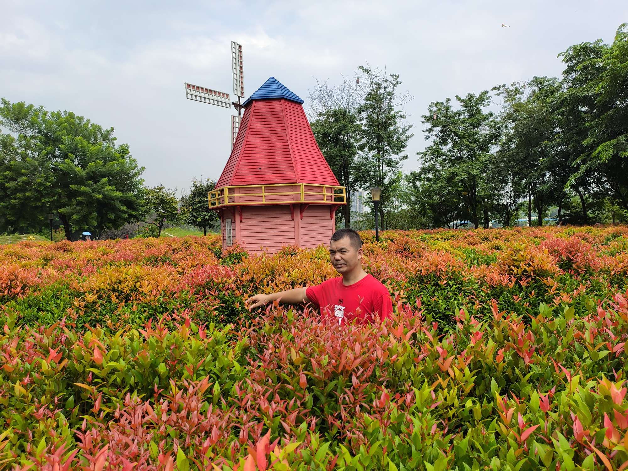 每天绽放新精彩