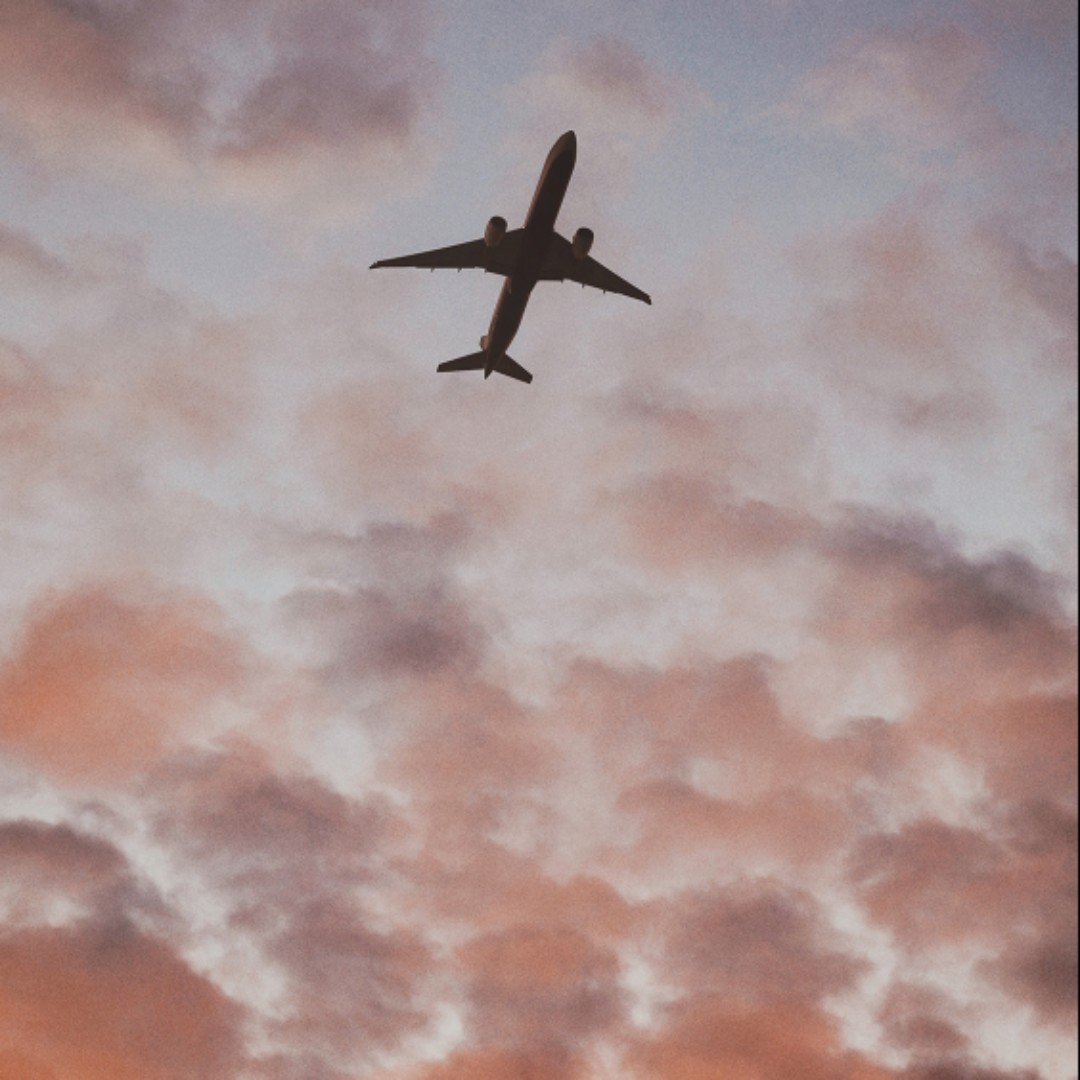 大大大大大大大飞鱼