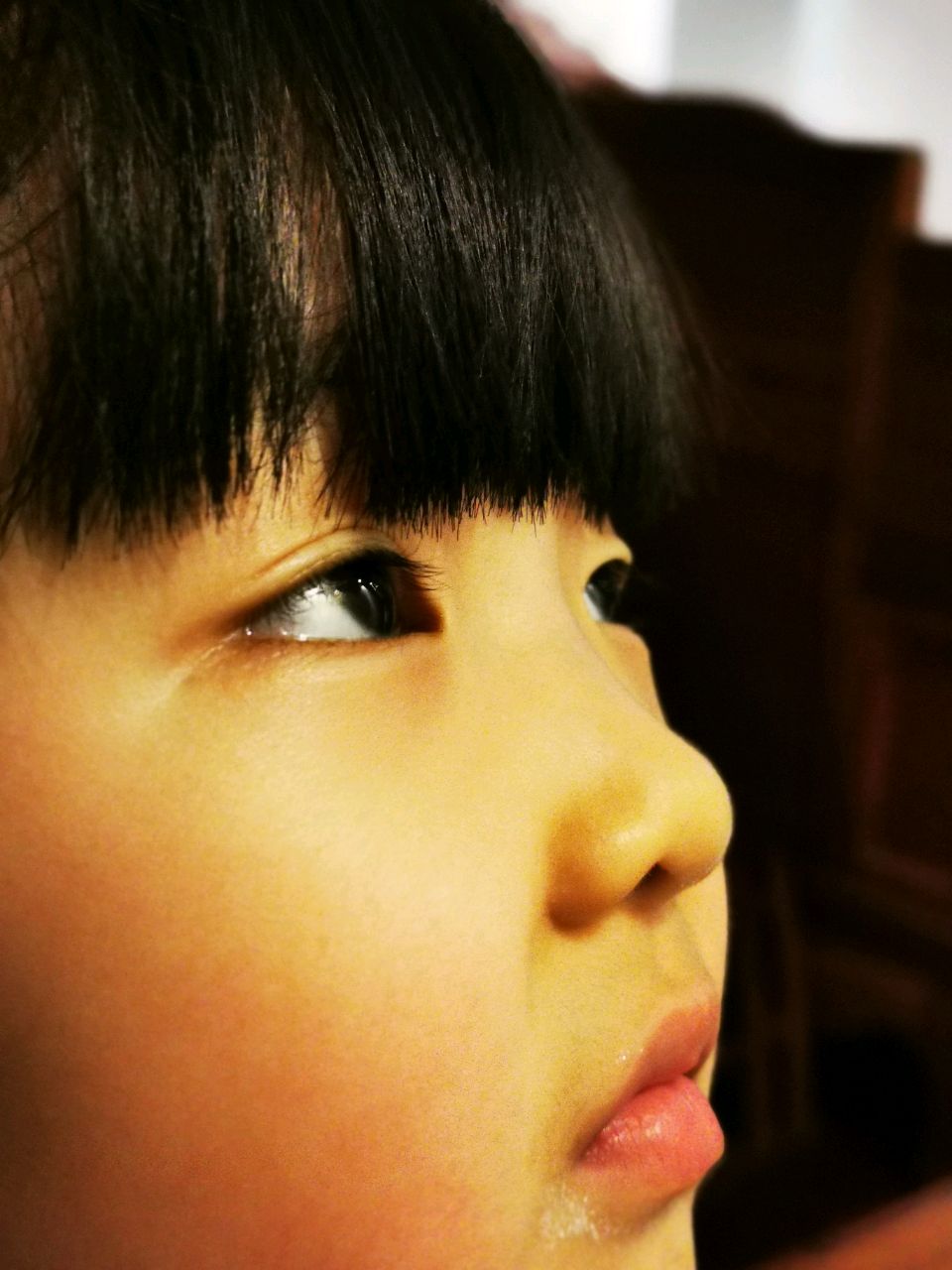 爱吃拌炸茄子的木头人