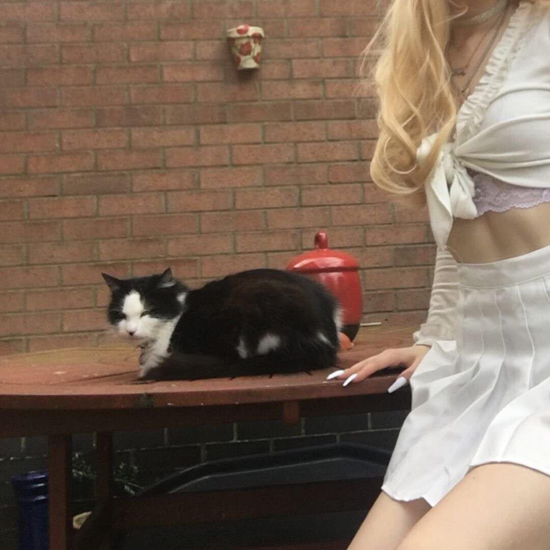 第一顺位恒真式_