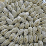 一生不变zhanghao