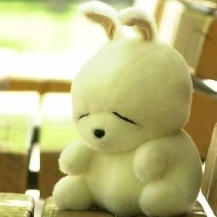 吃饭睡觉你懂得