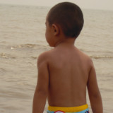 爱吃排骨的鱼:D