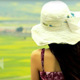 慵懒的午后阳光•