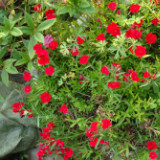 用户_呀呀学语1978