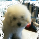 态度青年的阿银南前