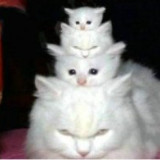 你就说六不六吧