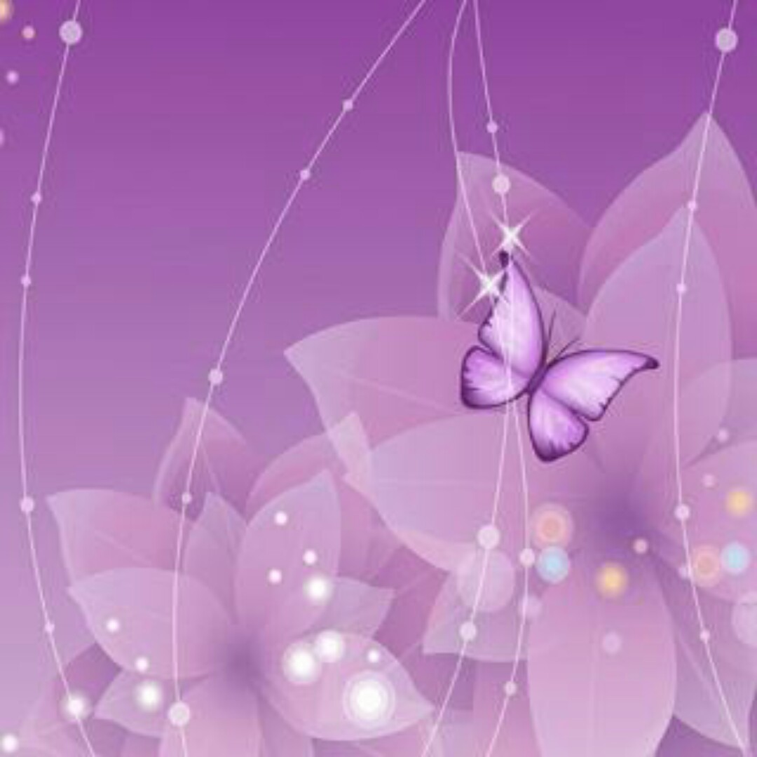 你不离我不言弃