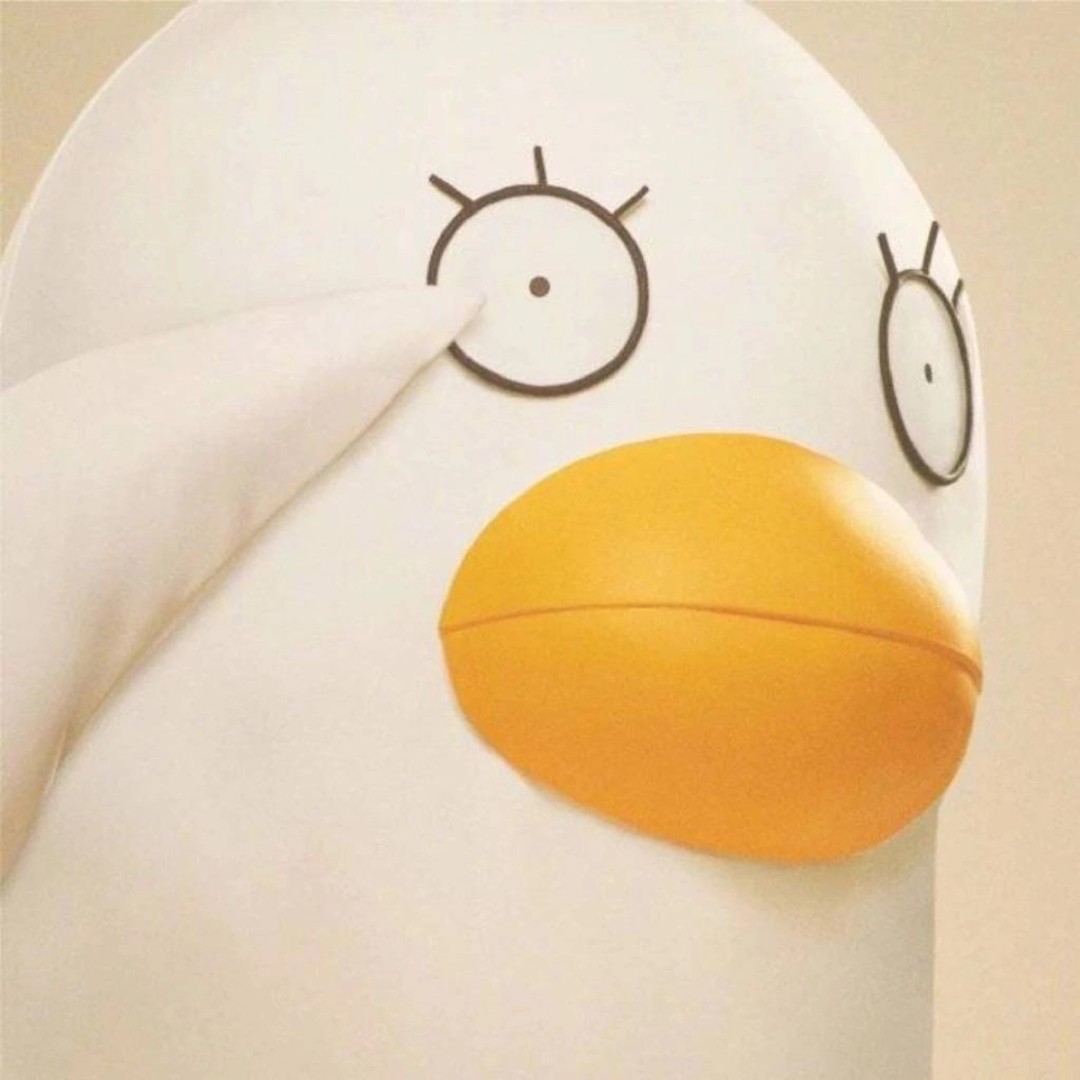 婷子不是提子呐