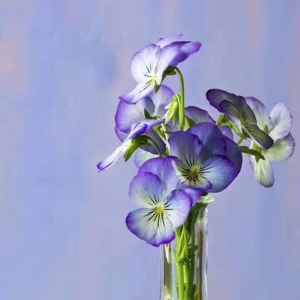 我的小宝贝子杰