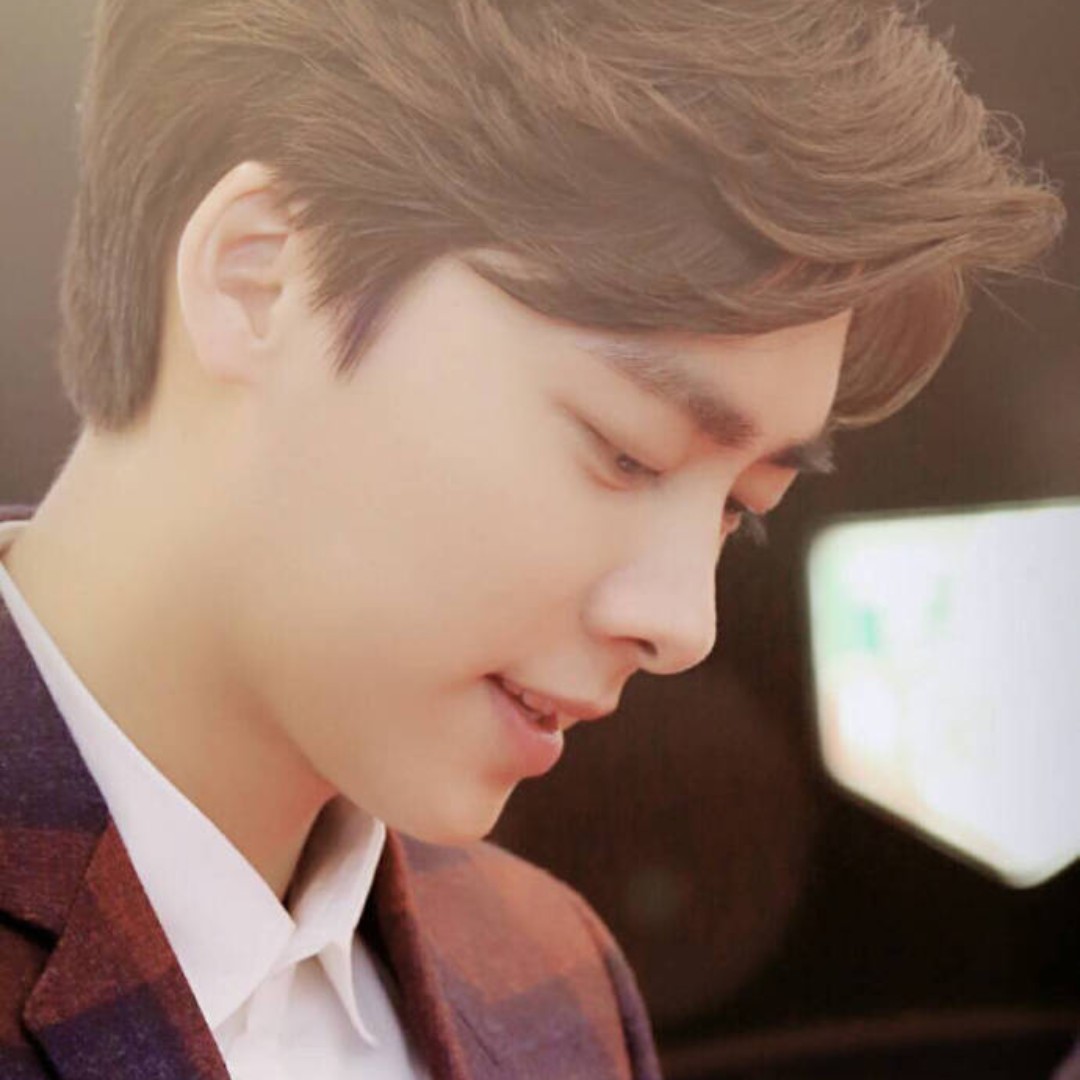 跨时代遇见的枫