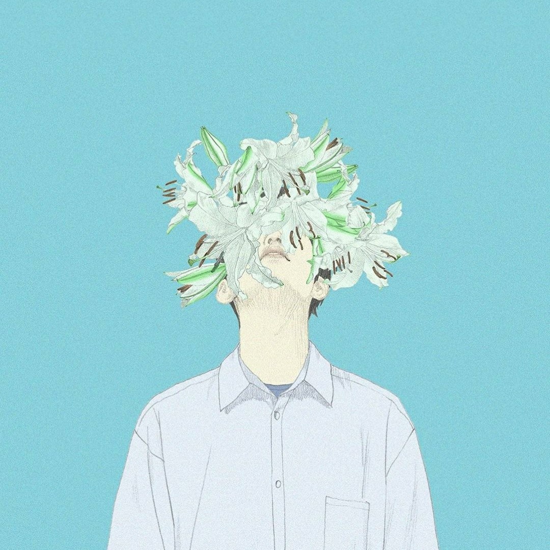 林海的小熊袜子