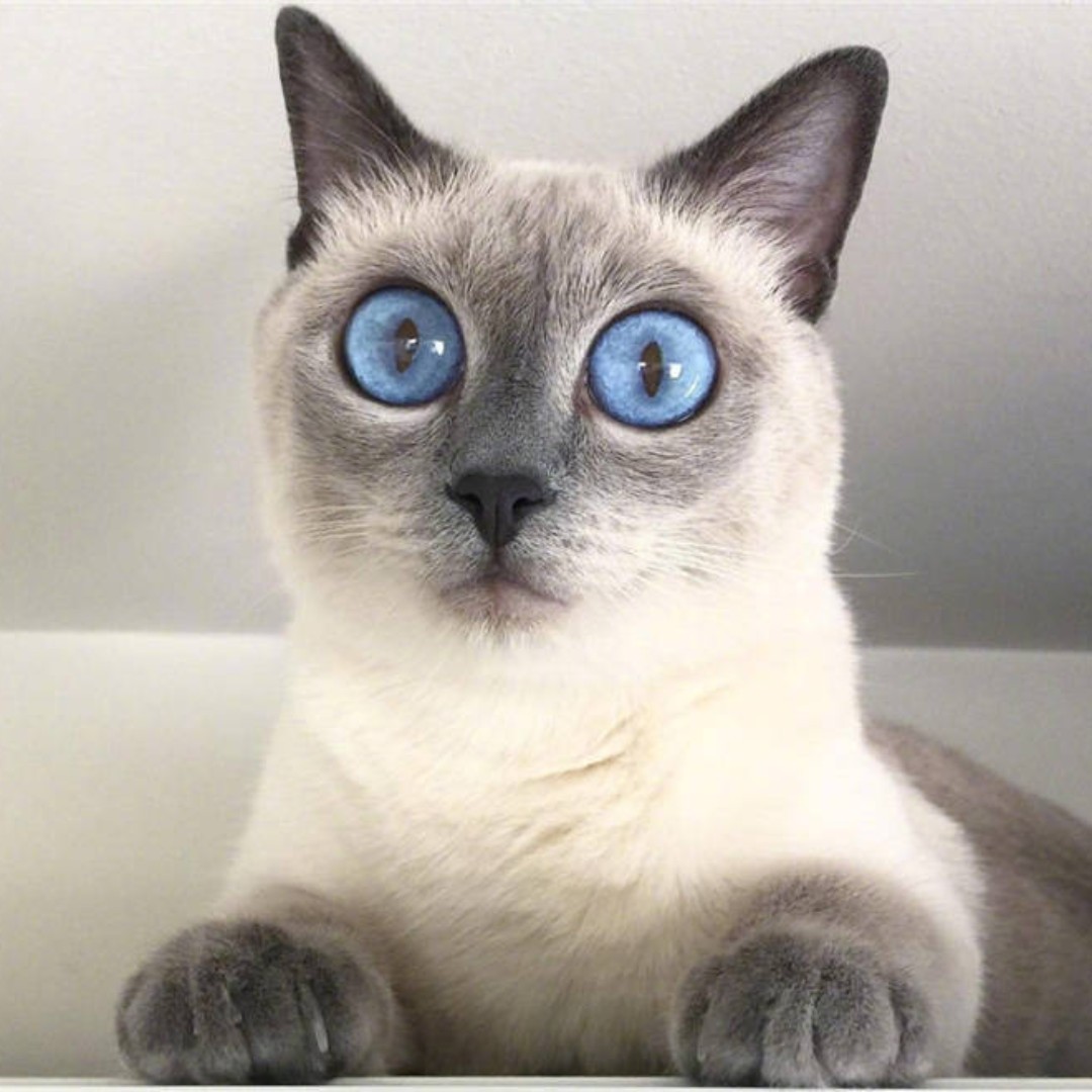 他们叫我一代大侠a