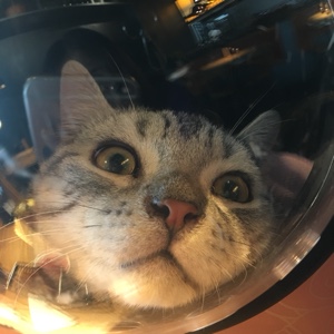 我是你的南太铉