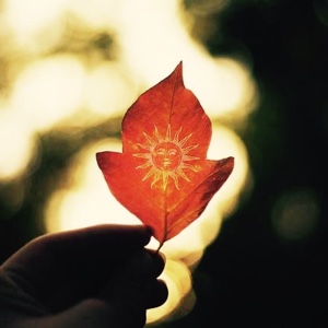 心如止水1哈哈哈哈