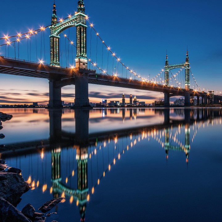 勿忘我一一春天