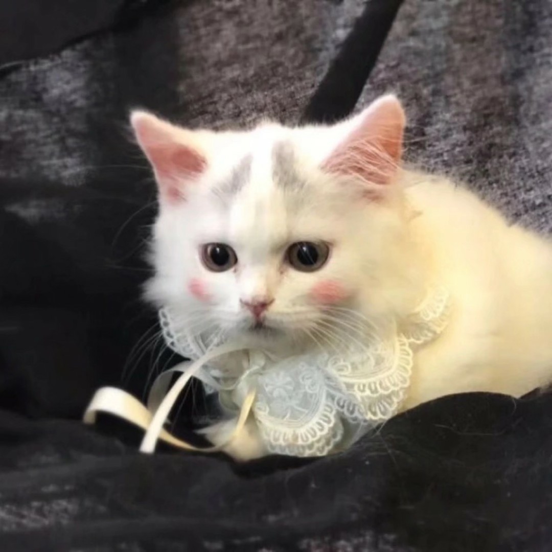 我不是范冰冰:P