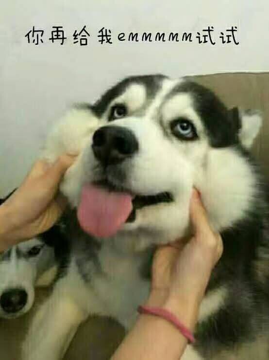 除暴安良的沈大善人