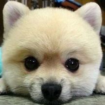 空洞的世界无聊