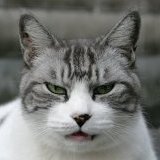 科学家小海疼嘻嘻