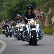 爱吃萝卜包子的佐菲