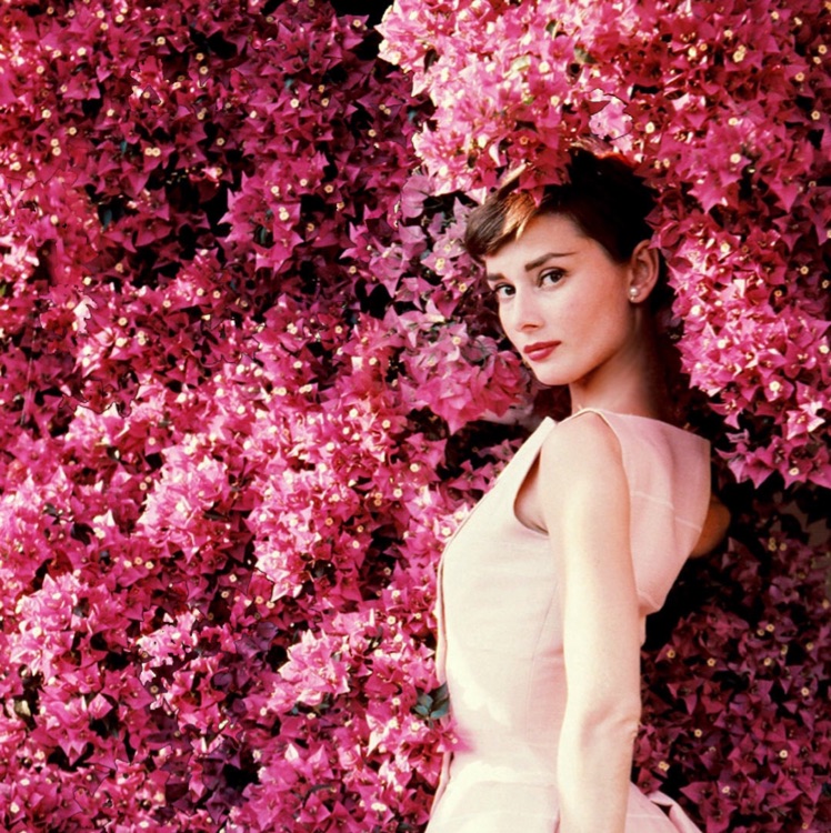 给你娃哈哈_3228