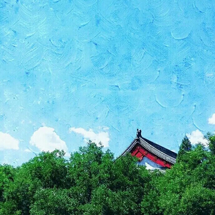 可可爱爱野指针