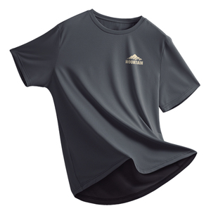 半袖 男款 新款 冰丝短袖 回力速干衣T恤男夏季 男士 健身跑步运动大码