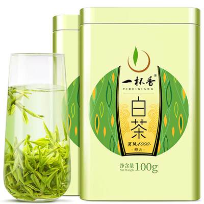 2024新茶一杯香安吉茶叶绿茶白茶