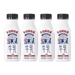 新希望今日鲜奶铺牛乳255ml*10瓶装原味低温鲜牛奶儿童营养早餐奶